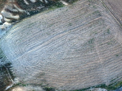Interesting field pattern; Cappadocia