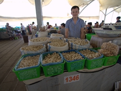 Selling Kashk qurt (dried cheese balls); Chorsu Bazaar