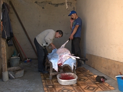 Watching as our homestay hosts slaughter a sheep for our dinner; Karakol