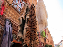 Fake tiger fur; Kashgar