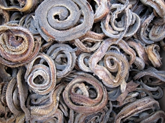 Dried snakes on display at a Chinese medicine store