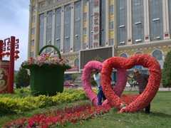 Striking a pose in the middle of massive heart shaped flower displays