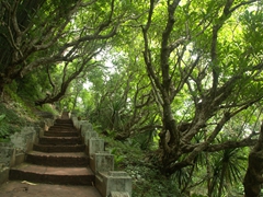 Stairs leading up Mount Phousi