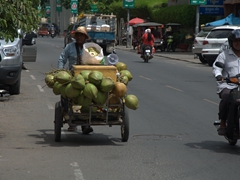 Coconut vendor