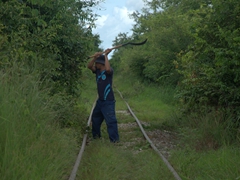 Hacking away the vegetation from the bamboo train line