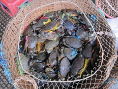 Fresh crabs for sale at the Central Market