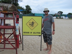 Jellyfish warning sign; Lamai Beach