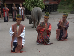 Batak wedding ceremony dance