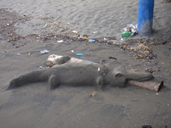 A crocodile sand sculpture; Puntarenas