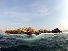 View on our 5 bay cruise; Huatulco