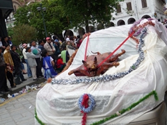 Roasted pig atop a car; Pase del Niño Viajero
