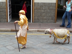 Shephard in the Pase del Nino Viajero