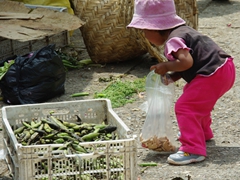 A young girl clutches her bag of animal crackers; Gualaceo market