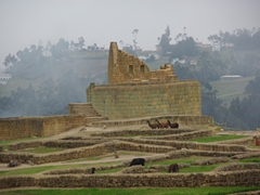 Another view of the Ingapirca ruins. The temple of the sun is the most important building, shaped as an elliptical building constructed without mortar around a large rock