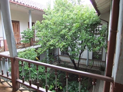 View of one of Becky's favorite fruit trees. The cherimoya tree at the Museo del Monasterio de las Conceptas