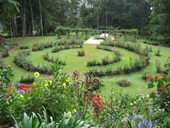 Beautiful Hakgala Botanical Gardens