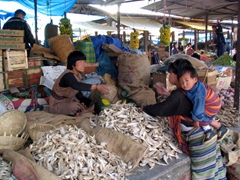 Smelly dried fish for sale; Thimphu Weekend Market