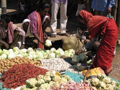 Fresh vegetables for sale, Kotagarh tribal market
