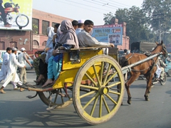 An example of traditional transportation (horse 'n cart) which is commonplace in Pakistan