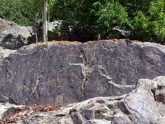 Nearby Kachura Lake, there are lots of rocks with petroglyphs carved all over them (if you squint you can make out a chain of men linking arms)