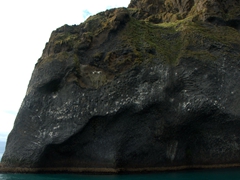 Side profile of an elephant by the sea; Dalfjall