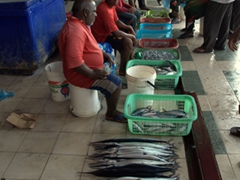 The fish market in Malé is kept surprisingly clean