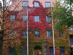 The fall foliage is quite pretty with the ivy covered building slowly changing colors; Dachau