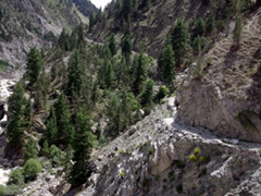 A view of the trail we hiked to reach Fairy Meadows