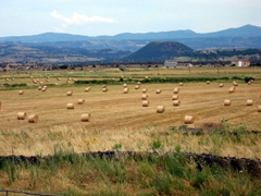 Bales of hay; field next to the Nuraghe Santu Antine ruins