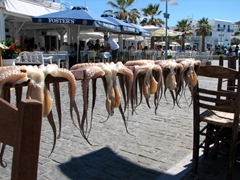 Yummy octopus hanging out to dry (grilled octopus is absolutely delicious!)