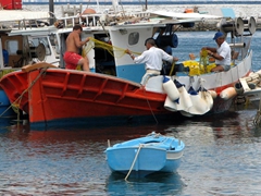 Fishing boats fill the port of Hora