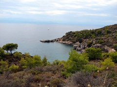 Spetses is famous for its pine trees, courtesy of philanthropist Sotirios Anargyrios