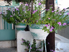 Potted plants near the clock tower