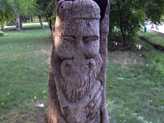 Carved tree trunk in the National Botanical Gardens