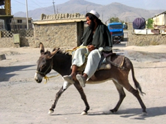 A man astride his donkey; Kabul