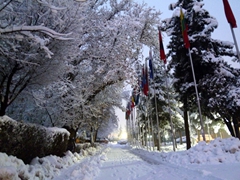 An early winter morning view of ISAF Headquarters
