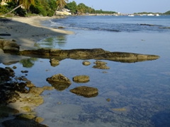 Esperanza's "beach front"...the locals raved that snorkeling here is excellent; Vieques