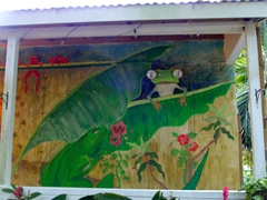 Iguana and Coqui frog; Bananas Guest house