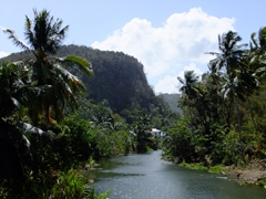 A river runs through it; picturesque St Lucian countryside