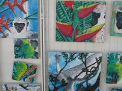 Lots of green vervet monkeys at Turtle Beach provide inspiration to a local artist; Turtle Beach