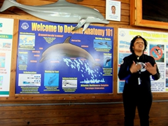 Dolphin trainer giving the group an orientation briefing on dolphins; Blue Lagoon Island