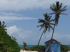 Blue beach hut on Blue Lagoon Island; Nassau