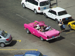 A classic pink cadillac cruising Havana