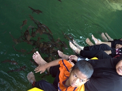 The locals show us how its done as they enjoy a catfish foot massage; Tasik Dayang Bunting island
