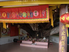 Each of the clan jetties has a small shrine to pay homage to the sea deities; Chew Jetty in Penang