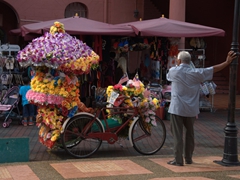 A flower rickshaw is parked patiently outside the Stadthuys awaiting the first tourists of the day