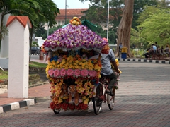Some of the flower bedecked rickshaws were quite obscene, and we wondered if any more flowers could possibly be squeezed onto the ride's surface; Malacca