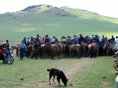 It slowly dawned on us that the horse race portion of this regional Naadam festival had just concluded, with proud fathers gathered on horseback to watch their children cross the finish line