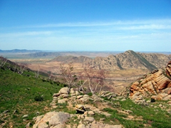 The view from the top of Hogno Khan Mountain