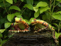 Ceramic frogs smile from Nong Nooch's clay pot garden display